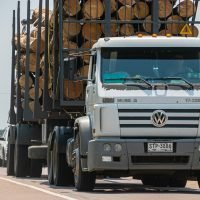 logging truck, truck, road, timber lorry, vehicle, woods, logs, transport, transportation, logging truck, logging truck, logging truck, logging truck, logging truck, truck, truck, truck, truck-6659419.jpg